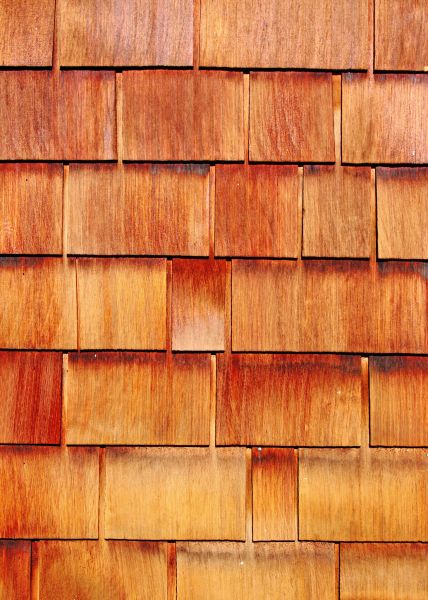 Cost of Wood Siding Replacement in Antioch